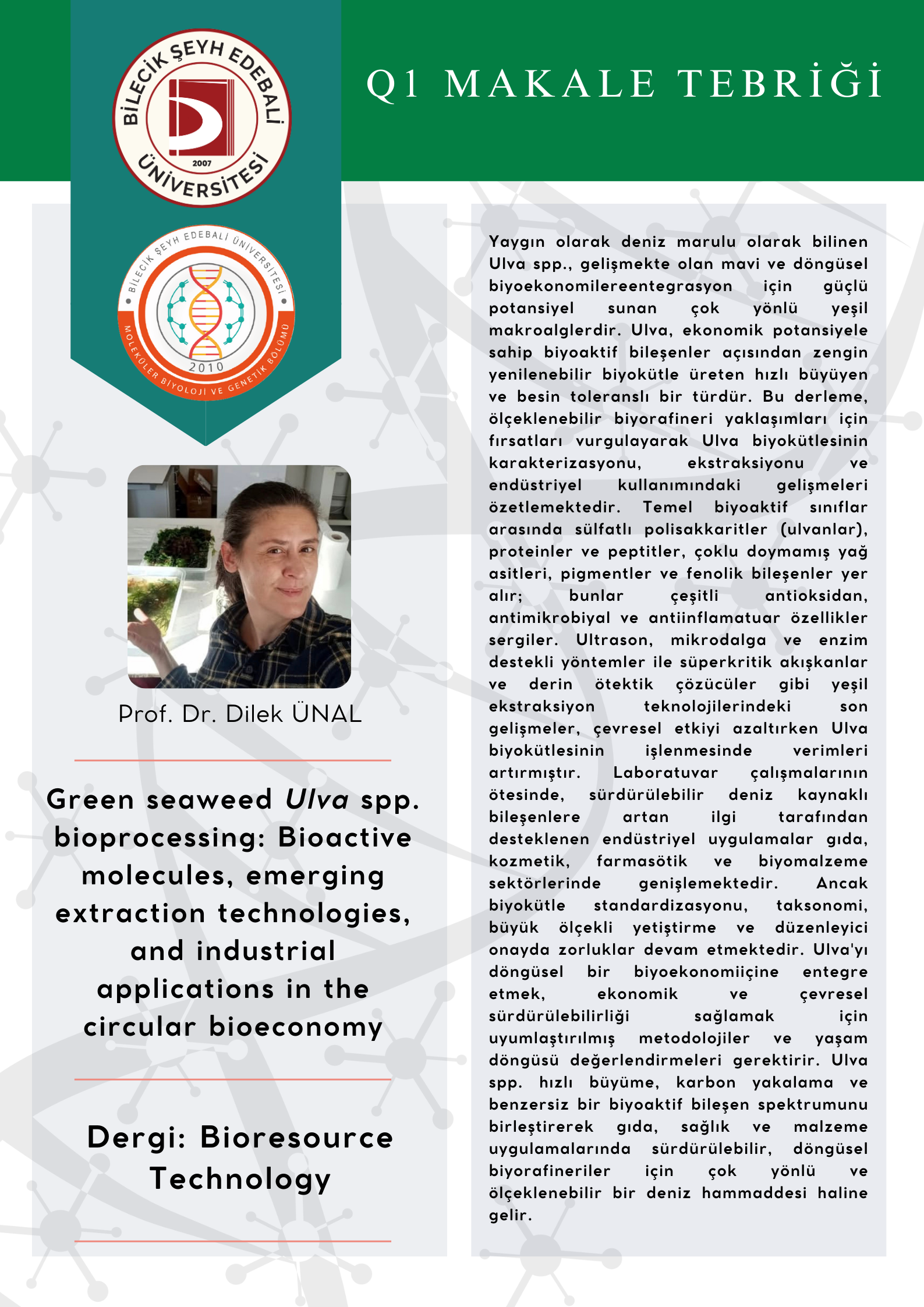 surgu fotoğraf 5752